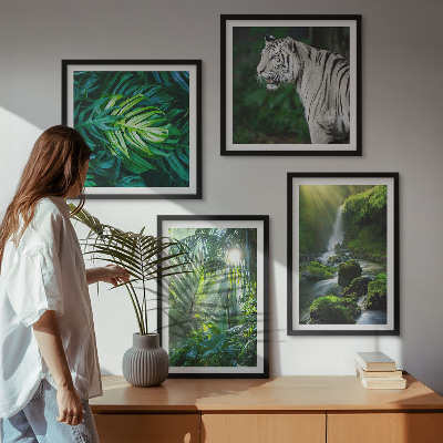 Conjunto de 4 quadros com moldura Cachoeira do Tigre Branco na Selva