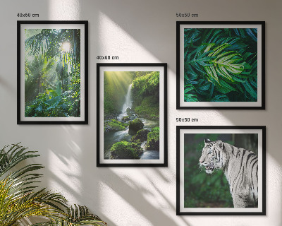 Conjunto de 4 quadros com moldura Cachoeira do Tigre Branco na Selva