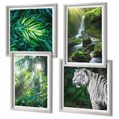 Conjunto de 4 quadros com moldura Cachoeira do Tigre Branco na Selva