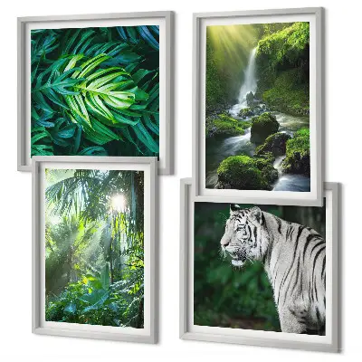 Conjunto de 4 quadros com moldura estampa de cachoeira do tigre branco na selva