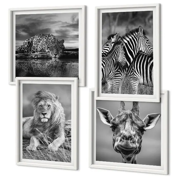 Conjunto de 4 quadros com moldura de animais selvagens leão jaguar girafa e zebras