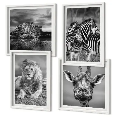 Conjunto de 4 quadros com moldura de animais selvagens leão jaguar girafa e zebras