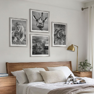 Conjunto de 4 quadros com moldura Animais Selvagens Leão Jaguar Girafa Zebras