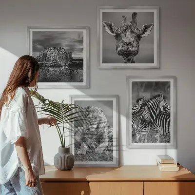 Conjunto de 4 quadros com moldura de animais selvagens leão jaguar girafa e zebras