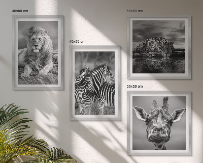Conjunto de 4 quadros com moldura Animais Selvagens Leão Jaguar Girafa Zebras