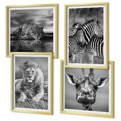Conjunto de 4 quadros com moldura de animais selvagens leão jaguar girafa e zebras