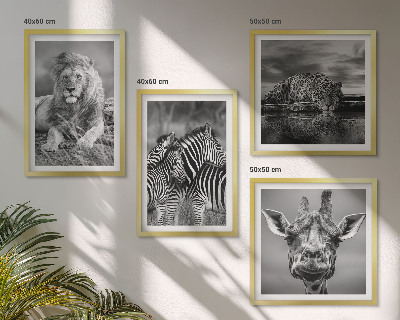 Conjunto de 4 quadros com moldura Animais Selvagens Leão Jaguar Girafa Zebras