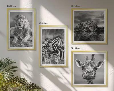 Conjunto de 4 quadros com moldura de animais selvagens leão jaguar girafa e zebras