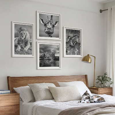 Conjunto de 4 quadros com moldura Animais Selvagens Leão Jaguar Girafa Zebras