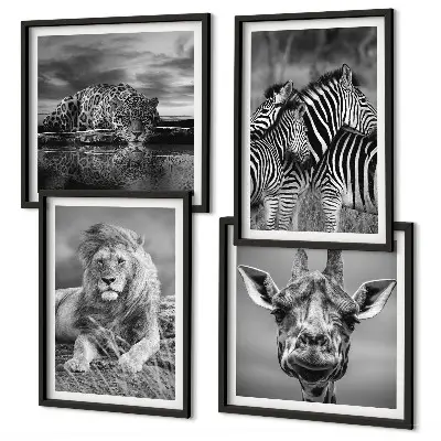 Conjunto de 4 quadros com moldura de animais selvagens leão jaguar girafa e zebras
