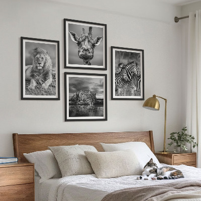 Conjunto de 4 quadros com moldura Animais Selvagens Leão Jaguar Girafa Zebras
