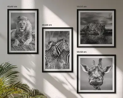 Conjunto de 4 quadros com moldura de animais selvagens leão jaguar girafa e zebras
