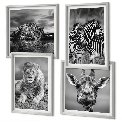 Conjunto de 4 quadros com moldura de animais selvagens leão jaguar girafa e zebras