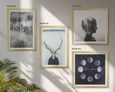Conjunto de 4 quadros com moldura estampa de floresta com névoa, lua e caveira feminina