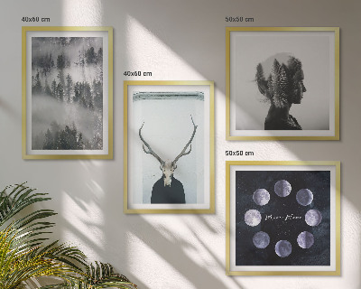 Conjunto de 4 quadros com moldura floresta névoa lua caveira mulher