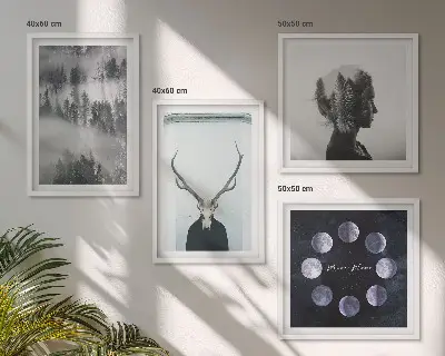 Conjunto de 4 quadros com moldura estampa de floresta com névoa, lua e caveira feminina