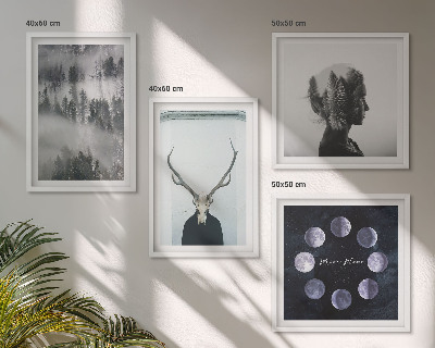 Conjunto de 4 quadros com moldura floresta névoa lua caveira mulher