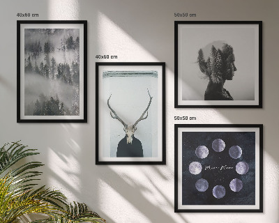 Conjunto de 4 quadros com moldura floresta névoa lua caveira mulher