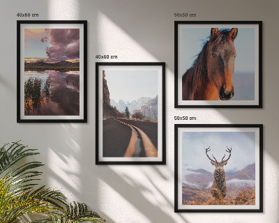Conjunto de 4 quadros com moldura Paisagens de montanha, renas, estrada para cavalos