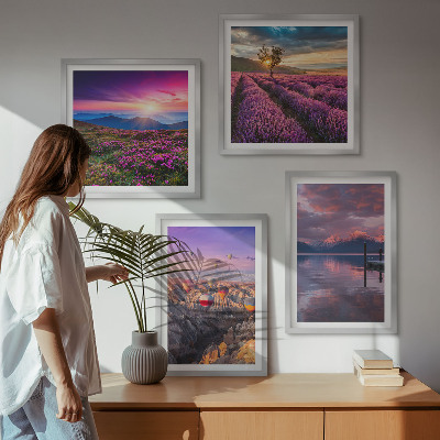 Composição de quadros Pôr do sol nos campos de lavanda
