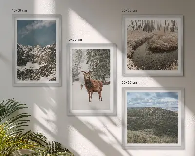 Conjunto de 4 quadros com moldura paisagem de floresta e cervos nas montanhas