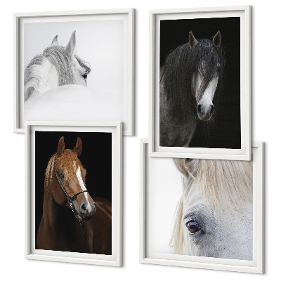 Composição de quadros Retratos de cavalos em tons pastel.