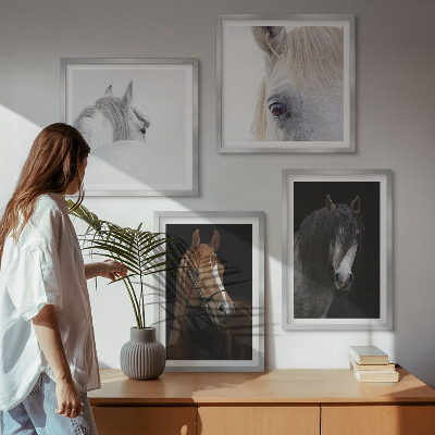 Composição de quadros Retratos de cavalos em tons pastel.