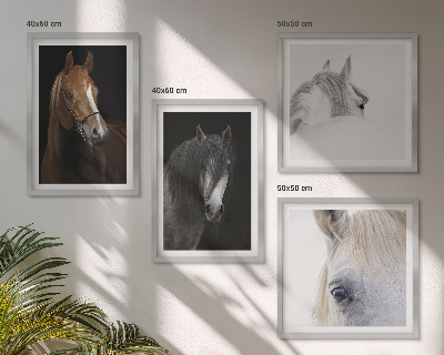 Composição de quadros Retratos de cavalos em tons pastel.