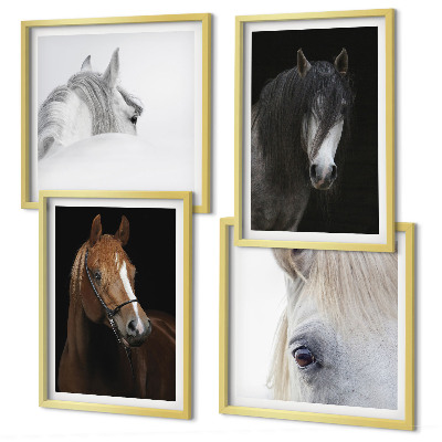 Composição de quadros Retratos de cavalos em tons pastel.
