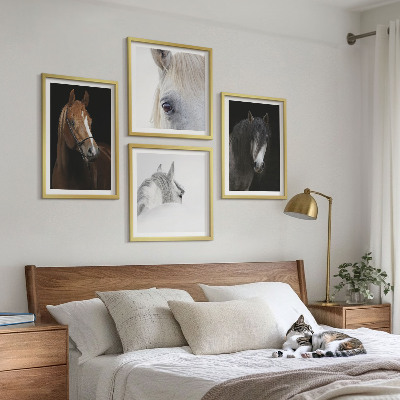 Composição de quadros Retratos de cavalos em tons pastel.