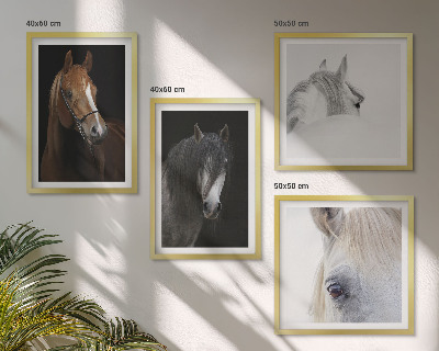 Composição de quadros Retratos de cavalos em tons pastel.