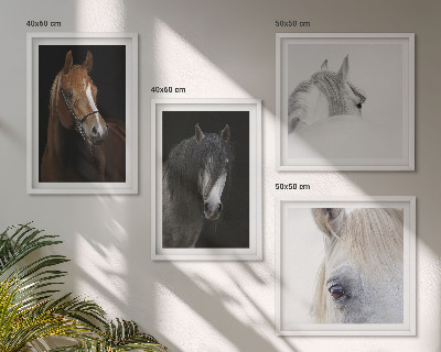 Composição de quadros Retratos de cavalos em tons pastel.