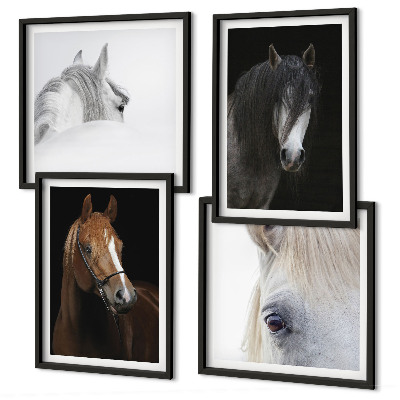 Composição de quadros Retratos de cavalos em tons pastel.