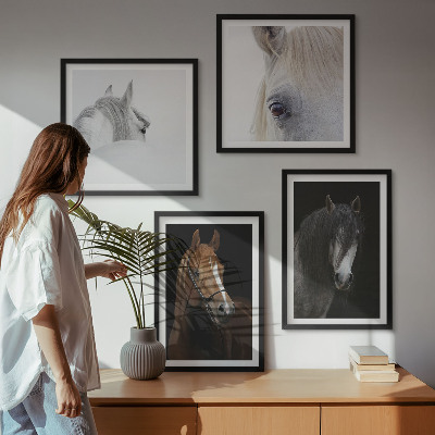 Composição de quadros Retratos de cavalos em tons pastel.
