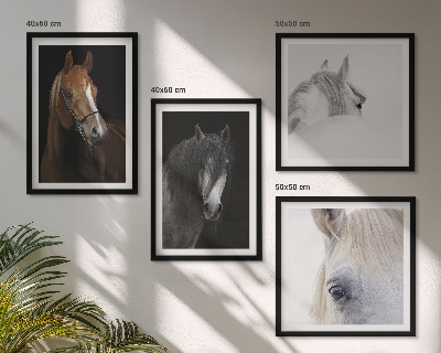 Composição de quadros Retratos de cavalos em tons pastel.