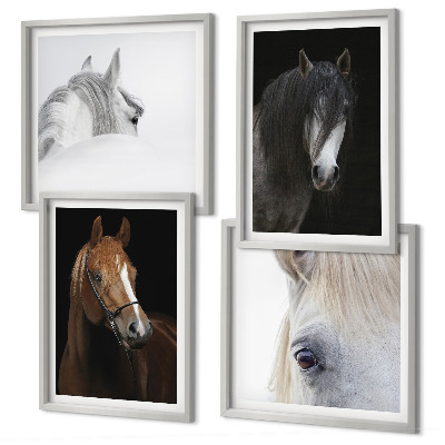 Composição de quadros Retratos de cavalos em tons pastel.