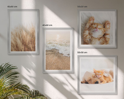 Políptico com moldura Animais fofos: gatos, cachorros, praia