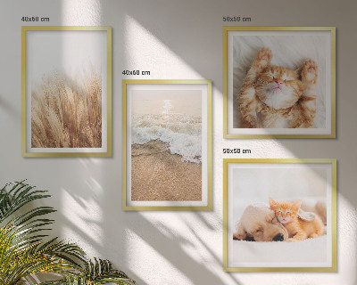 Políptico com moldura Animais fofos: gatos, cachorros, praia