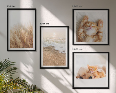 Políptico com moldura Animais fofos: gatos, cachorros, praia