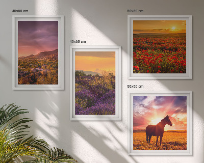 Composição de quadros Paisagem de montanha, cavalo, lavanda