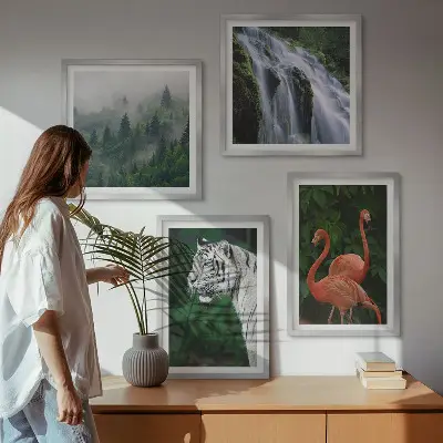 Composição de quadros cachoeira do tigre, flamingos e natureza