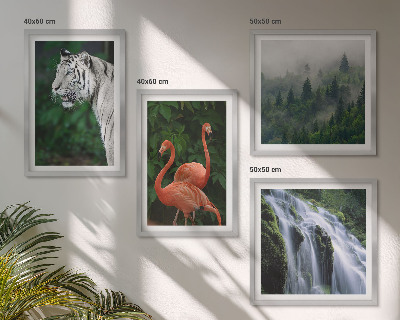 Composição de quadros Cachoeira do tigre, flamingos, natureza
