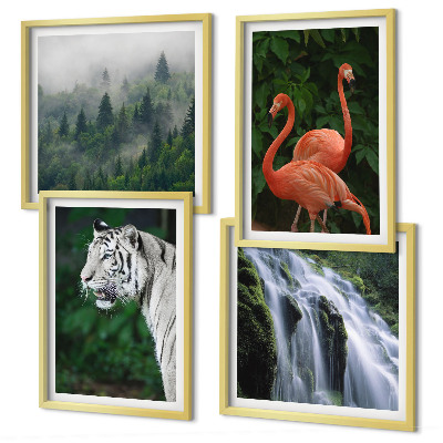 Composição de quadros Cachoeira do tigre, flamingos, natureza