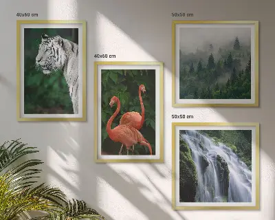 Composição de quadros cachoeira do tigre, flamingos e natureza