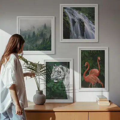 Composição de quadros cachoeira do tigre, flamingos e natureza