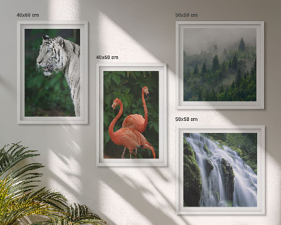 Composição de quadros Cachoeira do tigre, flamingos, natureza