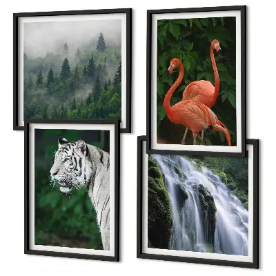 Composição de quadros cachoeira do tigre, flamingos e natureza
