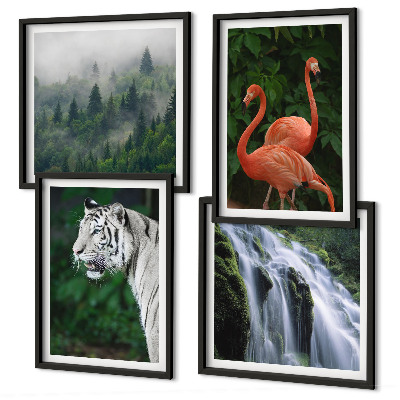 Composição de quadros Cachoeira do tigre, flamingos, natureza