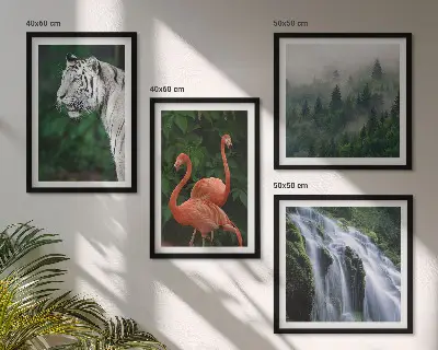 Composição de quadros cachoeira do tigre, flamingos e natureza