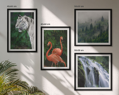Composição de quadros Cachoeira do tigre, flamingos, natureza
